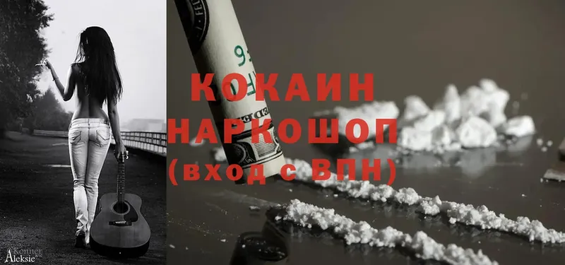 Cocaine Fish Scale  мега ссылки  Карачаевск  что такое наркотик 